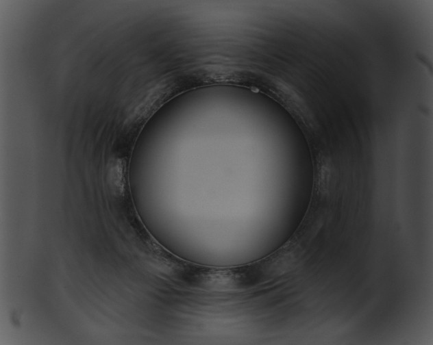 X0000101450121200807141253