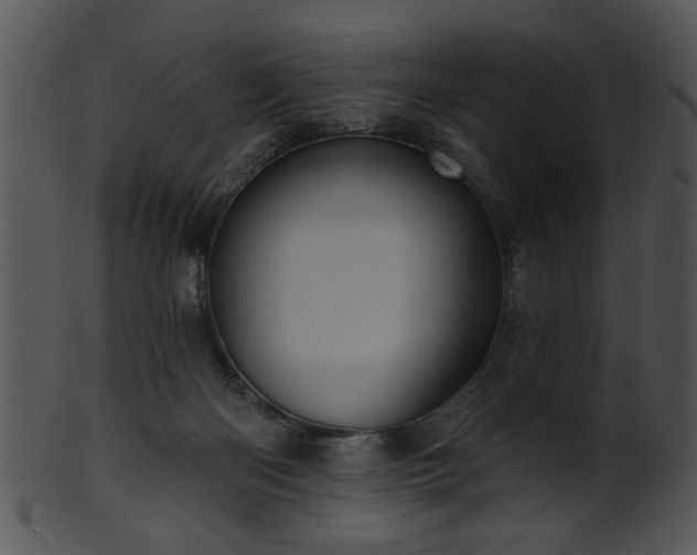 X0000101450122200807141253