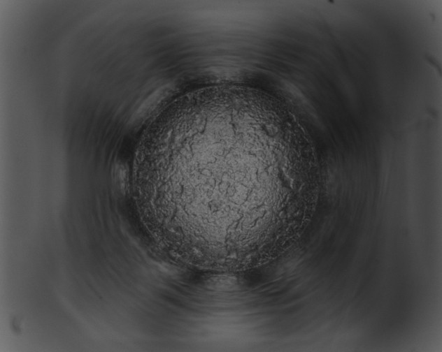 X0000101450123200807141253