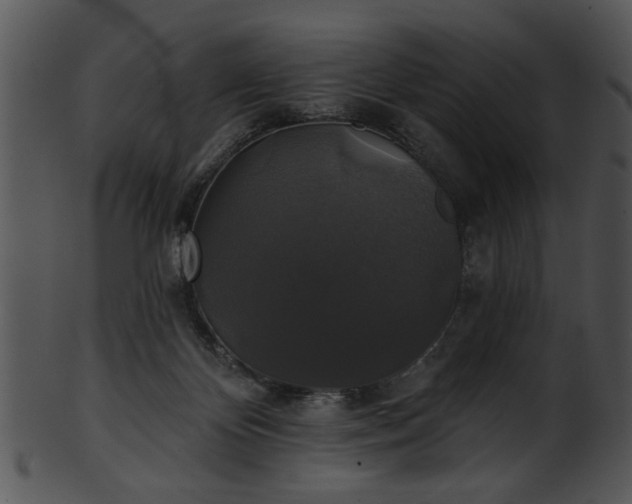 X0000101450124200807141253