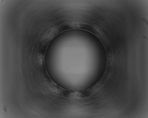 X0000101450125200807141253