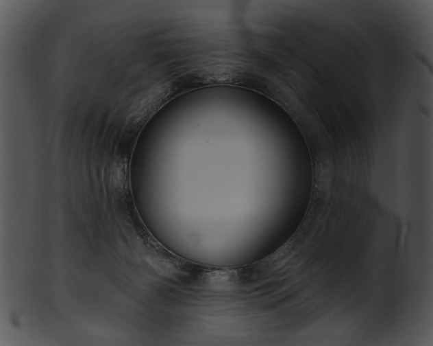 X0000101450126200807141253