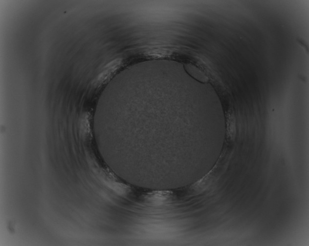 X0000101450128200807141253