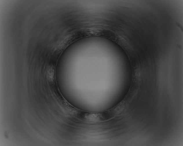 X0000101450129200807141252