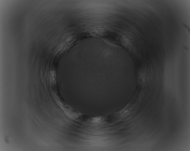 X0000101450130200807141252