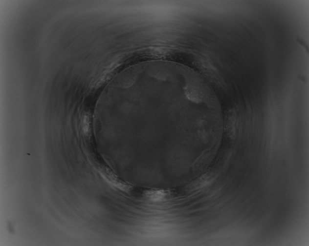 X0000101450131200807141252