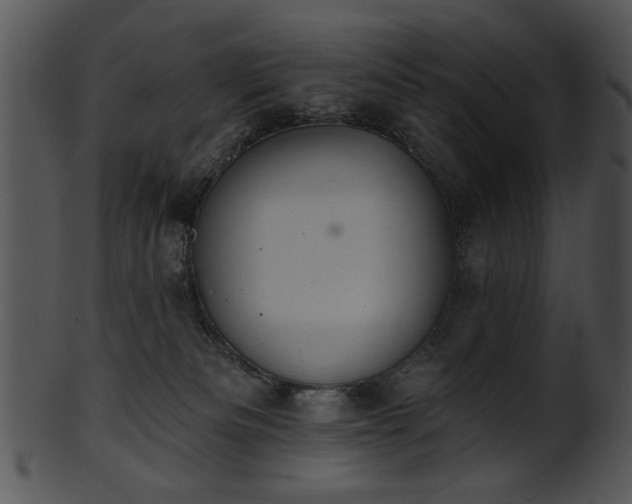 X0000101450133200807141252