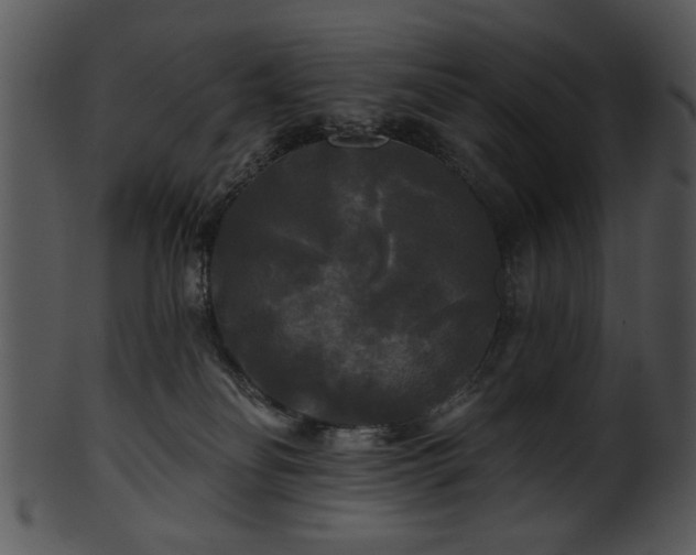 X0000101450134200807141252