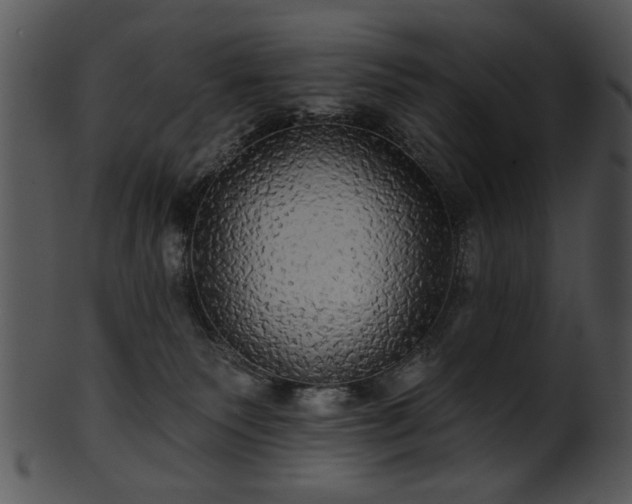 X0000101450135200807141252