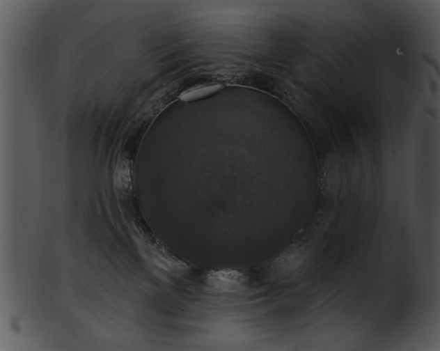 X0000101450137200807141252