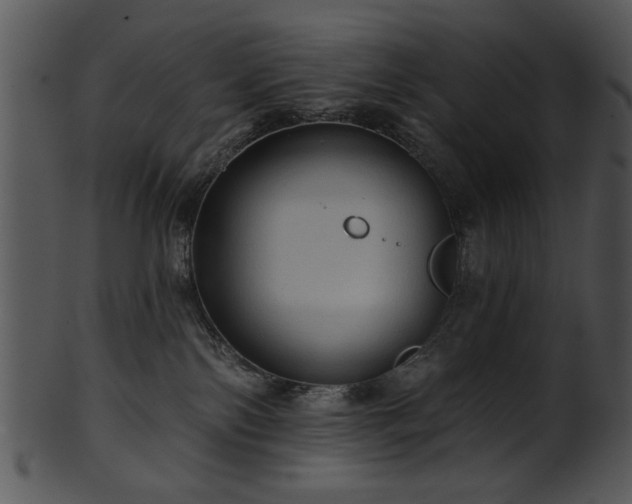 X0000101450138200807141252