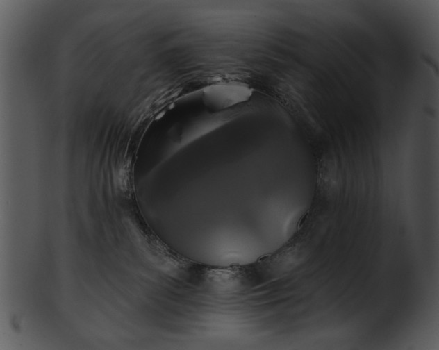 X0000101450139200807141252