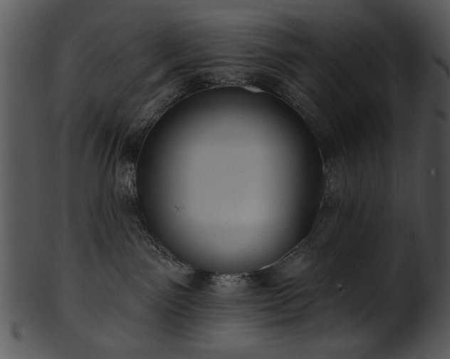 X0000101450141200807141252