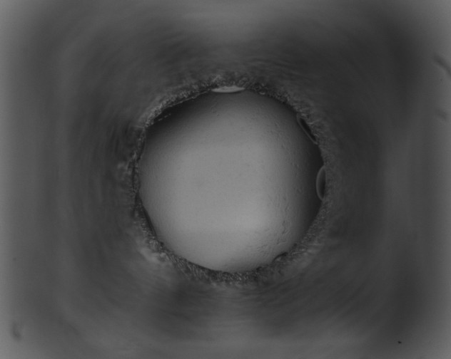 X0000101450144200807141252