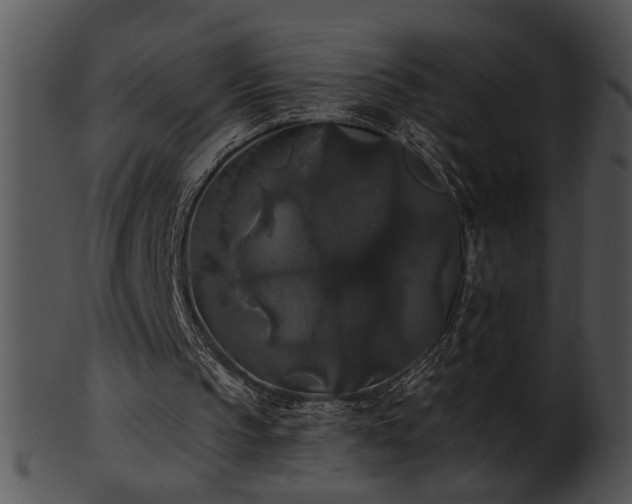 X0000101450145200807141252