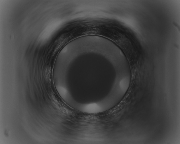 X0000101450146200807141252