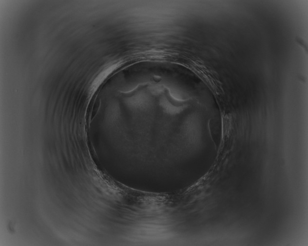 X0000101450147200807141252