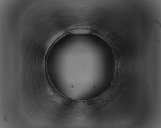 X0000101450148200807141252