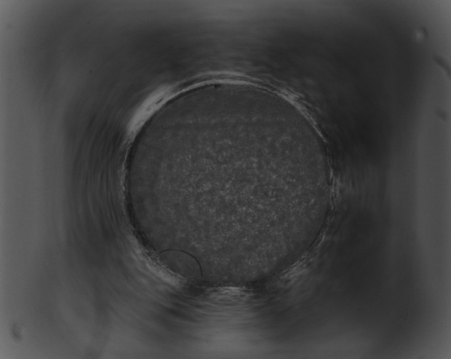 X0000101450151200807141252