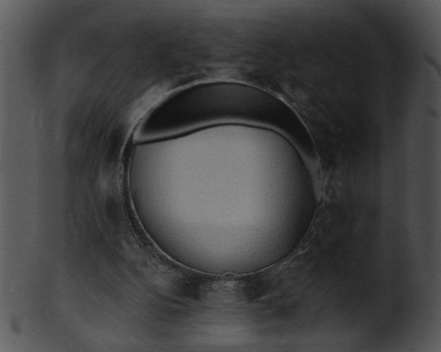 X0000101450152200807141252