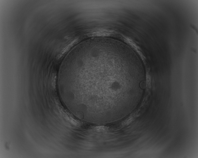 X0000101450153200807141252