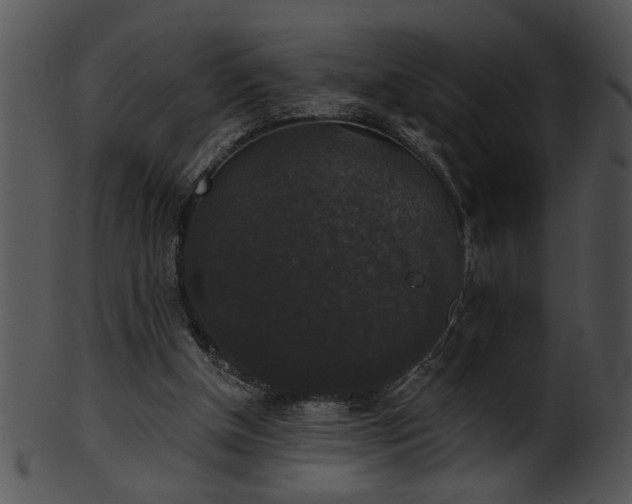 X0000101450154200807141252