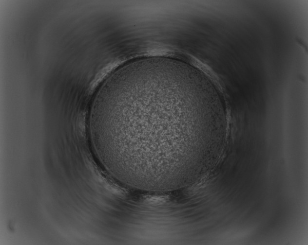 X0000101450155200807141252