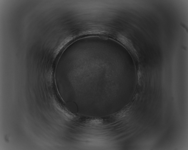 X0000101450156200807141252