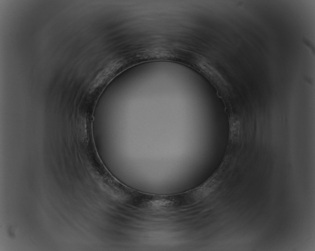 X0000101450158200807141252