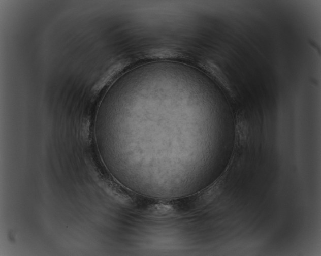 X0000101450159200807141252