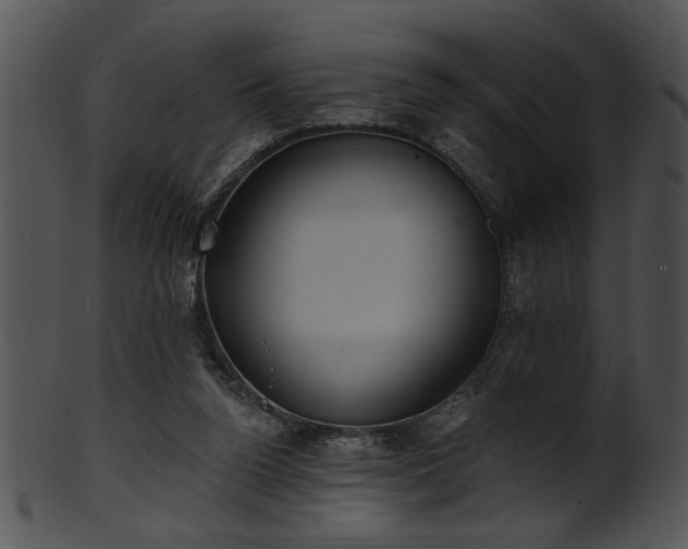 X0000101450160200807141252