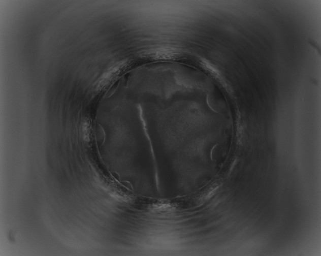 X0000101450161200807141252