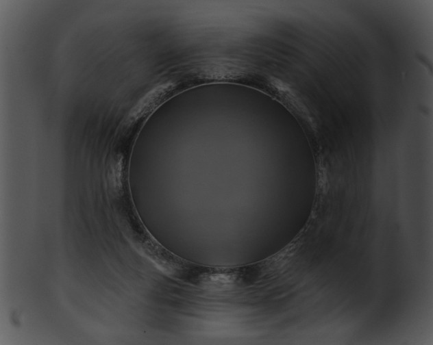 X0000101450163200807141252