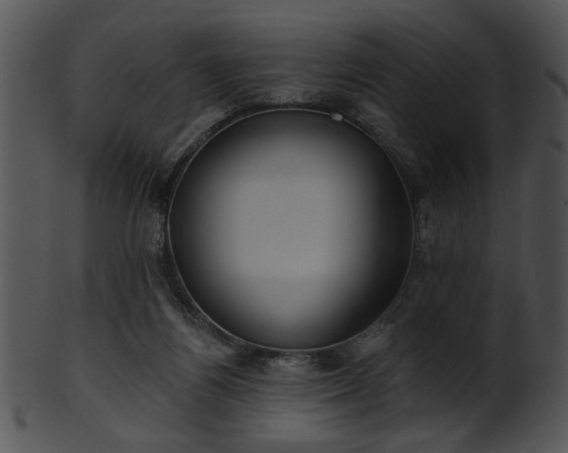 X0000101450164200807141252