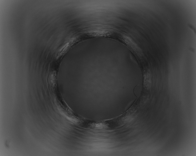 X0000101450165200807141252