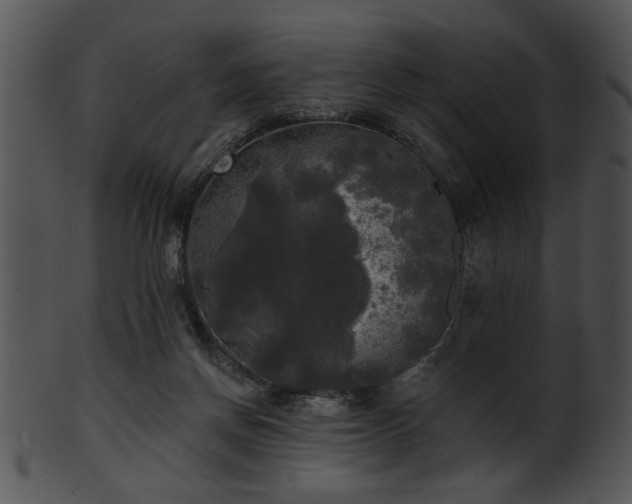 X0000101450166200807141252