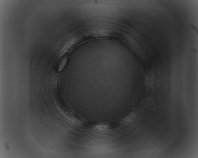 X0000101450168200807141252