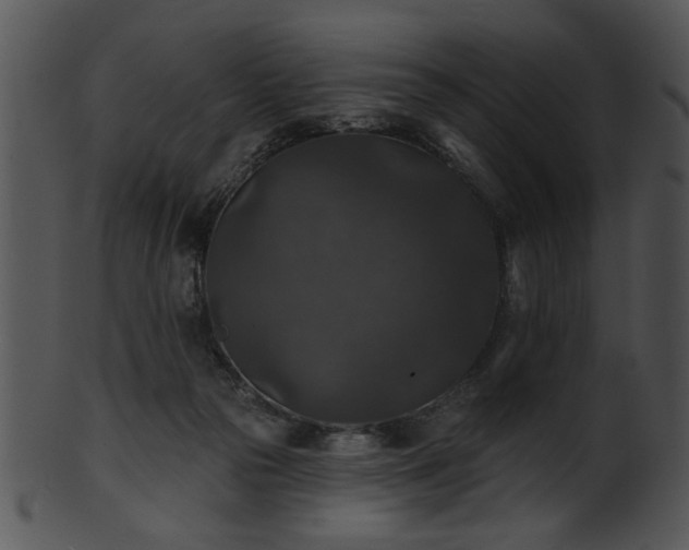 X0000101450169200807141252