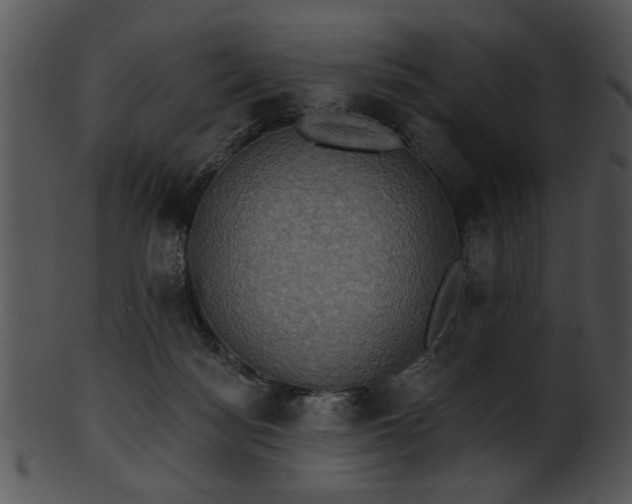 X0000101450172200807141252