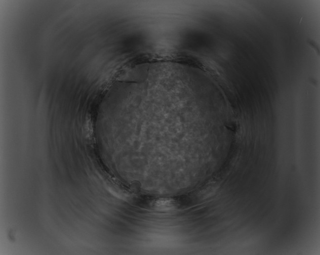 X0000101450173200807141252