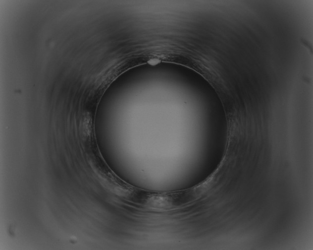 X0000101450174200807141252