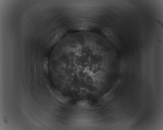 X0000101450175200807141252