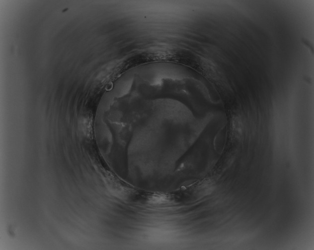 X0000101450177200807141252