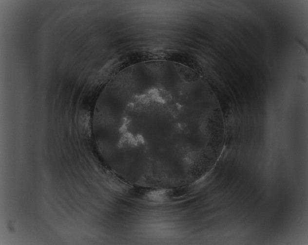 X0000101450178200807141252