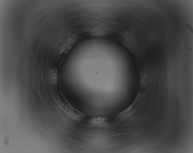 X0000101450179200807141252