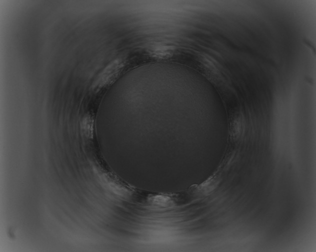 X0000101450180200807141252