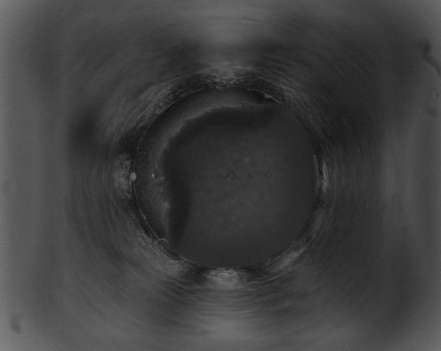 X0000101450181200807141252