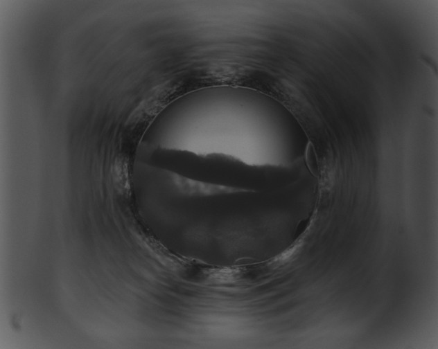 X0000101450182200807141252