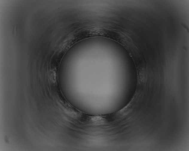 X0000101450183200807141252