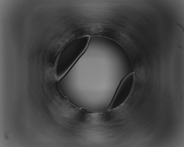 X0000101450184200807141252